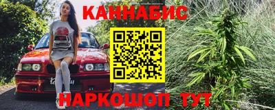 крисы Канаш