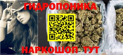 крисы Канаш