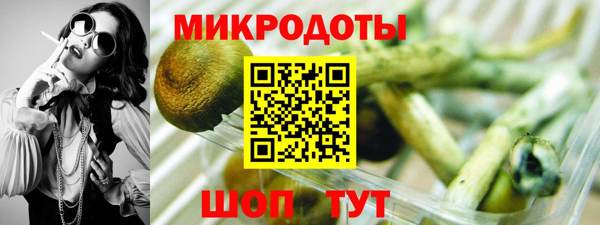 Крымск  Галлюциногенные грибы MAGIC MUSHROOMS  Вход с VPN  хочу   Галлюциногенные грибы Magic Shrooms 